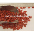 2012 new Organic goji berries